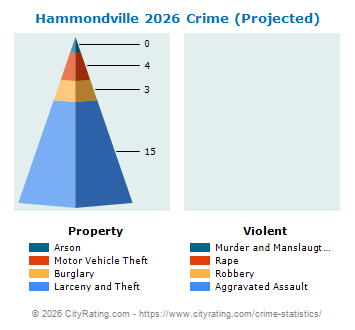 Hammondville Crime 2026