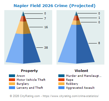 Napier Field Crime 2026