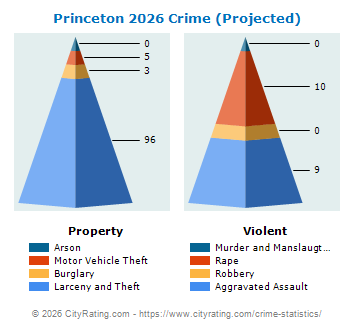 Princeton Crime 2026