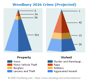 Woodbury Crime 2026