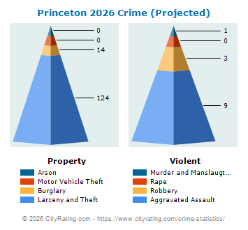 Princeton Township Crime 2026