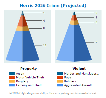 Norris Crime 2026