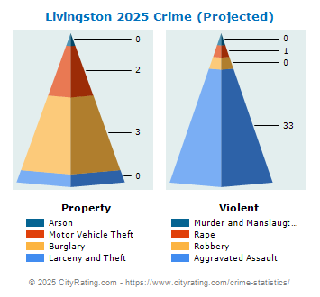 Livingston Crime 2025