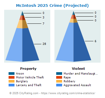 McIntosh Crime 2025