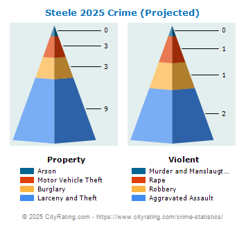 Steele Crime 2025