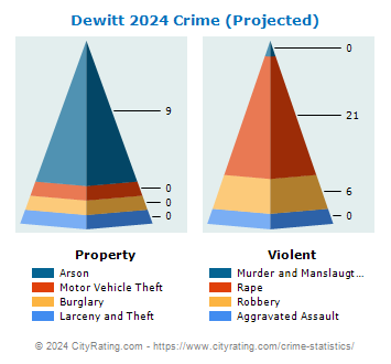 Dewitt Crime 2024