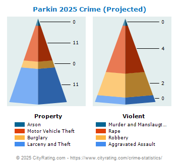 Parkin Crime 2025