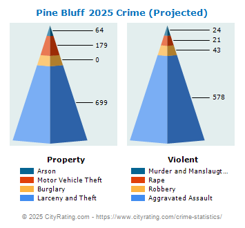 Pine Bluff Crime 2025