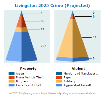 Livingston Crime 2025