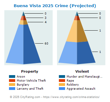 Buena Vista Crime 2025