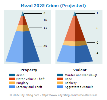 Mead Crime 2025