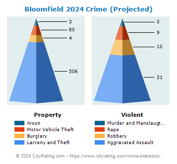 Bloomfield Crime 2024