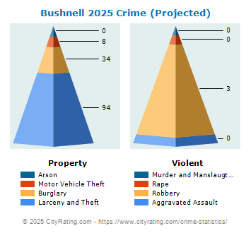 Bushnell Crime 2025