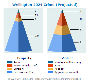 Wellington Crime 2024