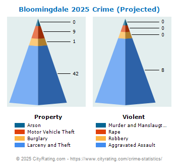 Bloomingdale Crime 2025