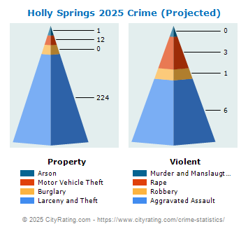 Holly Springs Crime 2025