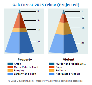 Oak Forest Crime 2025