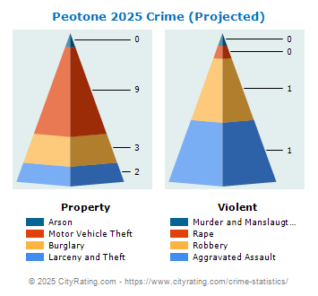 Peotone Crime 2025