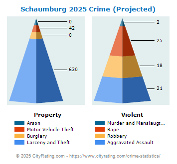 Schaumburg Crime 2025