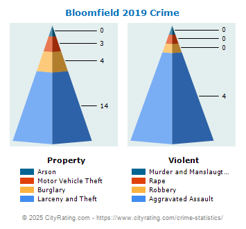 Bloomfield Crime 2019