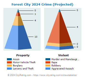 Forest City Crime 2024