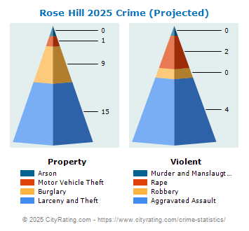 Rose Hill Crime 2025