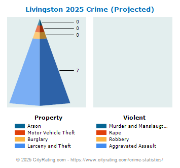 Livingston Crime 2025