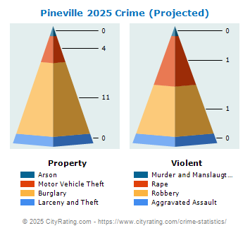 Pineville Crime 2025