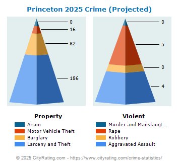 Princeton Crime 2025