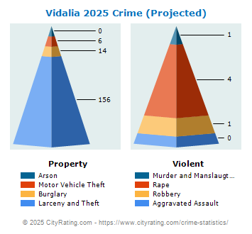 Vidalia Crime 2025