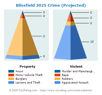 Blissfield Crime 2025