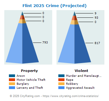 Flint Crime 2025