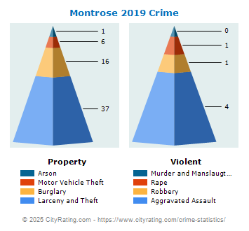 Montrose Township Crime 2019