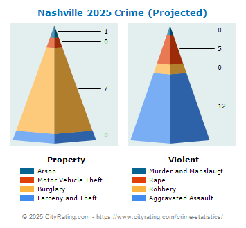 Nashville Crime 2025