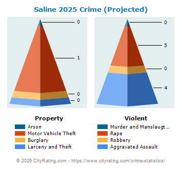 Saline Crime 2025