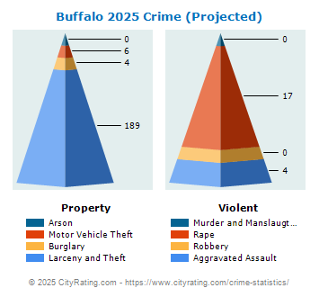 Buffalo Crime 2025