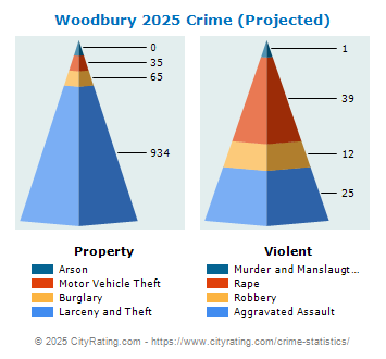 Woodbury Crime 2025