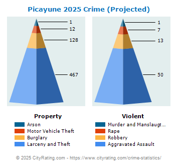 Picayune Crime 2025