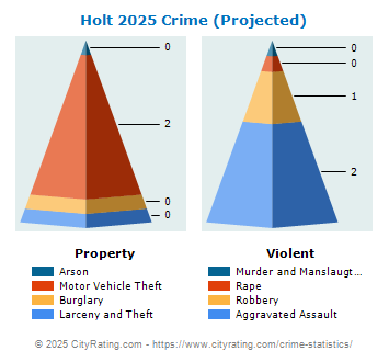 Holt Crime 2025