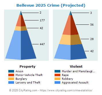 Bellevue Crime 2025