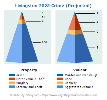 Livingston Township Crime 2025