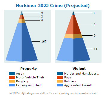 Herkimer Village Crime 2025