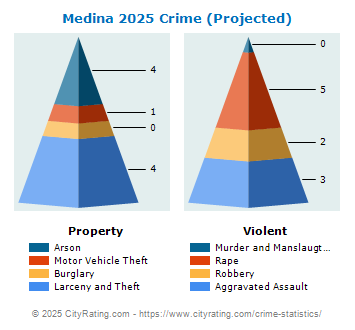 Medina Village Crime 2025