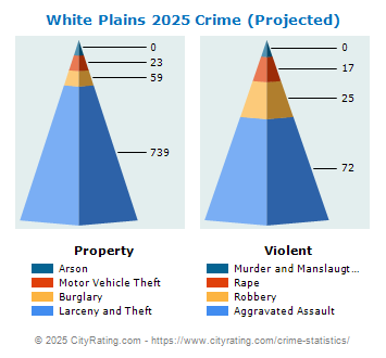 White Plains Crime 2025