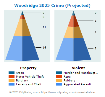 Woodridge Village Crime 2025