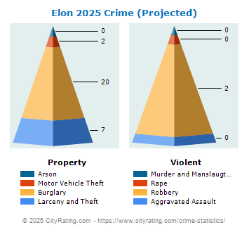 Elon Crime 2025