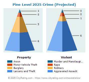 Pine Level Crime 2025