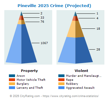 Pineville Crime 2025