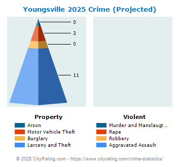 Youngsville Crime 2025