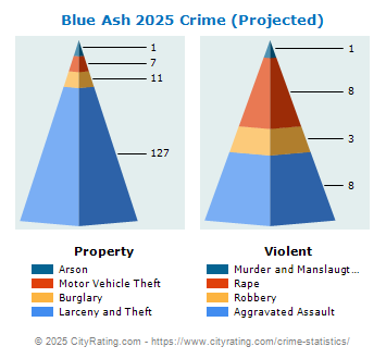 Blue Ash Crime 2025